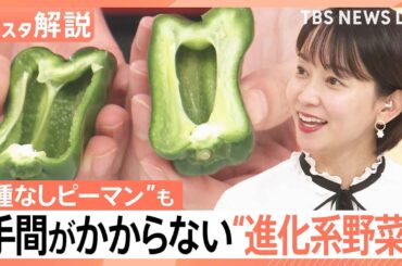 “時短ピーマン”に“種取り不要スイカ” 涙の原因を抑えたタマネギも…続々登場“進化形野菜”【Nスタ解説】｜TBS NEWS DIG