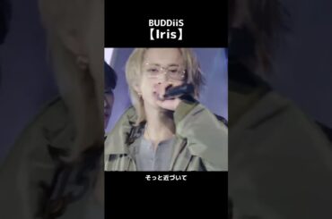 BUDDiiS がドラマの主題歌にも決定している「Iris」を披露🎶#BUDDiiS #ももいろ歌合戦 #ももいろ歌合戦2024#ももクロ #ももいろクローバーZ