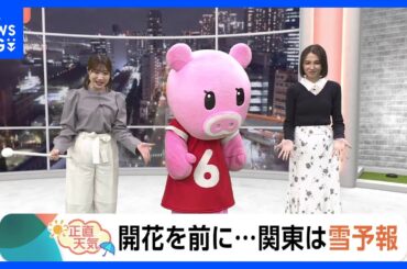 【3月10日 関東の天気】開花を前に…関東は雪予報｜TBS NEWS DIG