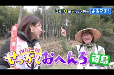 【番宣】「せっかくおへんろ」徳島編！3か国語を操る20代住職との出会い＆衝撃の生ワカメが器からはみ出す!?▽よるマチ！2026/03/18（水）よる7時!!