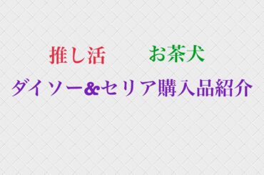 ダイソー&セリア購入品紹介