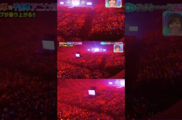 Snow halation｜ファンとμ'sが作り上げた感動の瞬間【ラブライブ】