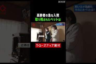 高齢者の急な入院 自宅に取り残されたペットは【クロ現】| NHK | #shorts