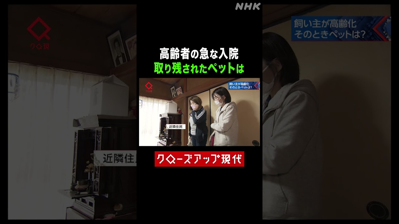 高齢者の急な入院 自宅に取り残されたペットは【クロ現】| NHK | #shorts 高齢者の急な入院 自宅に取り残されたペットは【クロ現】| NHK | #shorts