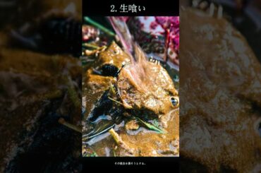 ⚠️「熊肉を食らえば死者が甦る」供花村の狂気の儀式！人間の歯型が暴く真実｜ガンニバル S1E2 名場面 😱🐻