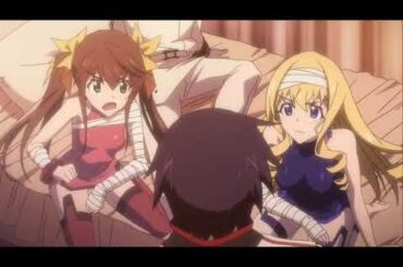 ばーか、ばーか、ばーか　[凰鈴音] [下田麻美] [InfiniteStratos] [おまけC-038]