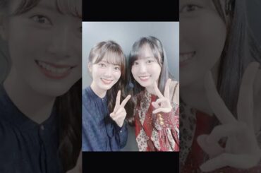 坂道メンバーの絡みをもっとみたい #乃木坂 #乃木坂46 #櫻坂46 #遠藤さくら #森田ひかる #井上和