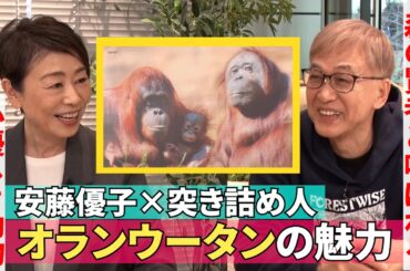 【“森の賢者”と呼ばれるオランウータンの魅力】#255《安藤優子×日本オランウータン・リサーチセンター代表》