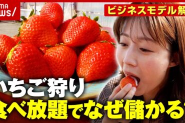 【いちご狩り】なぜ「食べ放題」で儲かる？何個食べたら元が取れる？農家が明かすビジネスモデルの裏側｜ABEMA的ニュースショー