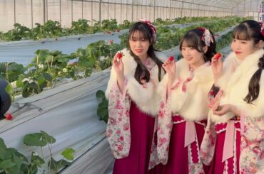 いちごの世界でご満悦。青木陽菜・奥野香耶・佐藤日向【#温泉むすめ】