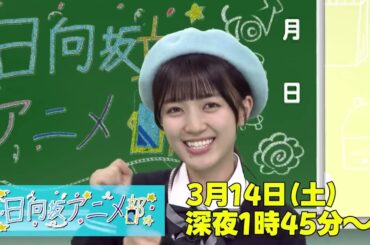 平尾帆夏 日向坂アニメ部 本日3月14日深夜25:45～カンテレで放送！放送後TVerでの配信もあります！