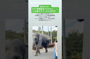 松田里奈 まもなく！本日3月18日19:00～MRT宮崎放送「わけもん！！」にVTR出演します！櫻坂46