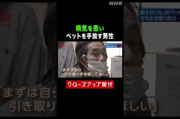 病気を患いペットを手放す男性 行政が引き取りづらい理由とは【クロ現】| NHK | #shorts