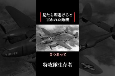 【特攻隊員の戦争体験】見たら即逃げろと言われたアメリカ軍戦闘機 #歴史 #名言 #戦後