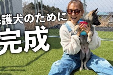 【年の差夫婦】保護犬のためにゼロから作ったドッグランが完成しました【完結編】
