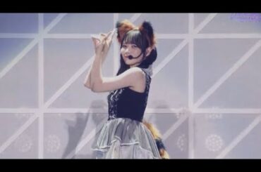 乃木坂46 ぶんぶくちゃがま 田村真佑 focus