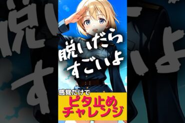 エーリカ・ハルトマン【スト魔女】