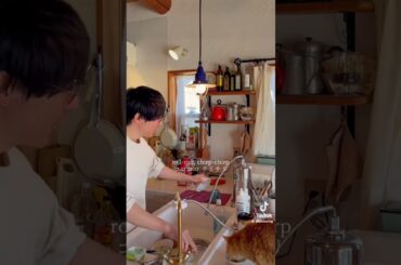 この曲知ってる？ #shorts #ニャースのうた #ニャース #犬山イヌコ #高樹夏輝 #ポケモン #歌ってみた #tiktok #cover