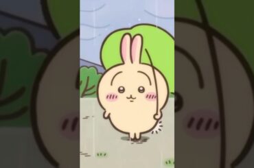【ちいかわ】オチを持ってかれたうさぎ #ちいかわ #うさぎ #ハチワレ #ラスク #shorts