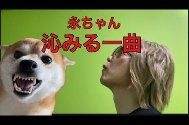 【孤独の56歳】この歳になると沁みる…矢沢永吉「YES MY LOVE」歌ってみた