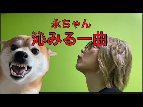 【孤独の56歳】この歳になると沁みる…矢沢永吉「YES MY LOVE」歌ってみた 【孤独の56歳】この歳になると沁みる…矢沢永吉「YES MY LOVE」歌ってみた