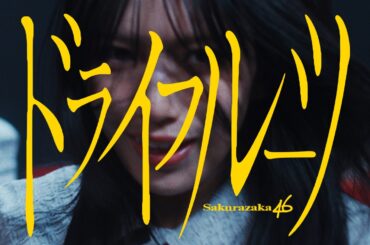 櫻坂46 『ドライフルーツ』 MUSIC VIDEO