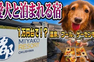 【1万円台の神宿】コテージ泊なのに究極の贅沢を味わえる温泉・プール・ゲーセン、カラオケまでもが全開放！？広大な敷地が贅沢すぎて帰りたくない『都リゾート奥志摩アクアフォレスト』