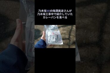 乃木坂46の梅澤美波さんが乃木坂工事中で紹介していたカレーパンを食べるぜ