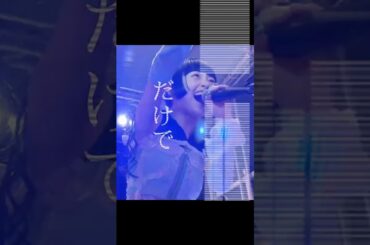 ぜんぶ君のせいだ。Lyrics Live in Poland 2026