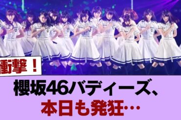 藤吉夏鈴軍団こと櫻坂46のバディーズさん本日も発狂開始 #櫻坂46 #櫻坂46の家