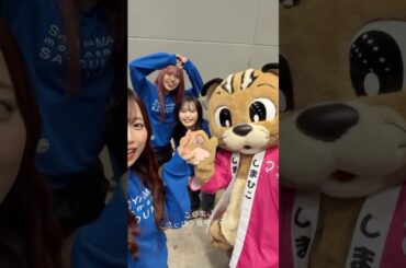 260321 アンジュルム 伊勢鈴蘭 「しまひこ。めちゃ仲良くなった」　#アンジュルム #angerme #伊勢鈴蘭 #為永幸音 #後藤花 #しまひこ #対馬市 #ひなフェス #アイドル #ハロプロ