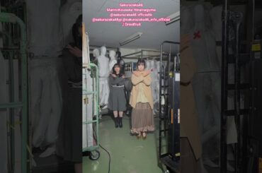 幸阪茉里乃 稲熊ひな『ドライフルーツ』ペアで踊ってみた♪ 櫻坂46