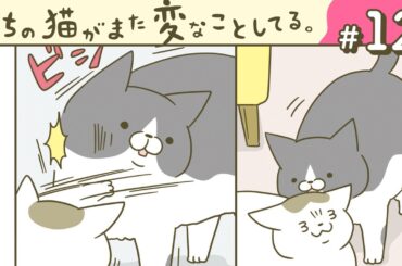 【漫画】アイドルトンちゃん/拒否られ慣れてない/他（CV:悠木碧、小市眞琴、森永千才、平川嵐）｜『うちの猫がまた変なことしてる。』（12）【マンガ動画】ボイスコミック