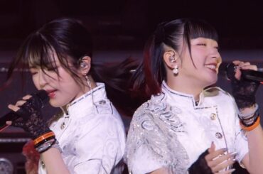 つばきファクトリー「今夜だけ浮かれたかった」2025 日本武道館