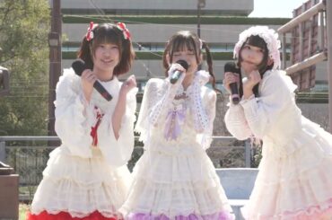 夢見るアイリス (１６ー５０ミリ寄り引き) kawaii推しドル頂上決戦 in 熊本辛島公園(２６/３/１４)