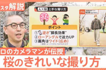 桜をスマホで上手に撮りたい！「曇ると色が…」「良い角度は？」プロが伝授 悩みを解決【Nスタ解説】｜TBS NEWS DIG