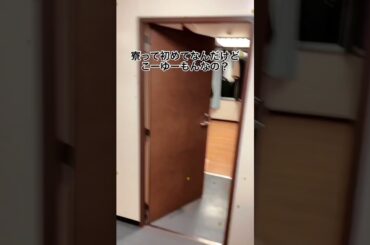 今日から寮生活なんだけど何らかの手違いで地獄にいる