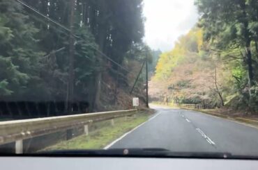 2026市野川さくら街道