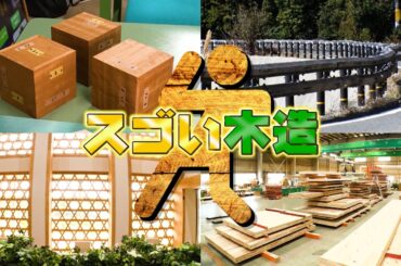 『がっちりマンデー!!』スゴい木造ビジネス! 木造8階建ビル!? 木造ガードレール!? 4/5(日)【TBS】