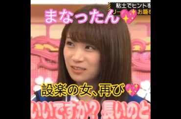 秋元真夏💖､設楽の女､再び💖｡…#秋元真夏 #設楽統 #乃木坂46 #乃木坂工事中 #shorts