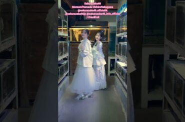 山田桃実 中川智尋『ドライフルーツ』ペアで踊ってみた♪ 櫻坂46