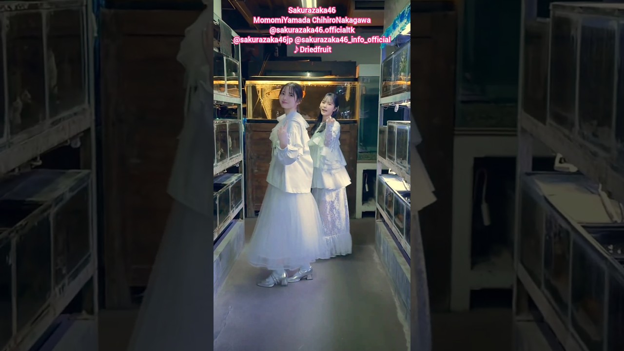 山田桃実 中川智尋『ドライフルーツ』ペアで踊ってみた♪ 櫻坂46