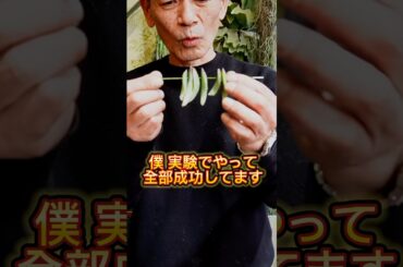 【100%成功】土を使わずに多肉植物の葉挿し #葉挿し #多肉植物
