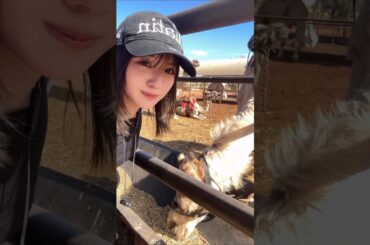 森本茉莉一人旅vlog