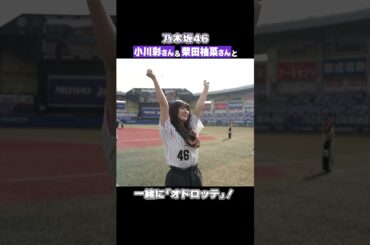 乃木坂46 小川彩さん柴田柚菜さんと一緒に「オドロッテ」！#chibalotte #パ・リーグ乃木坂コラボ #乃木坂野球部