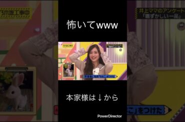 怖いてーwww #乃木坂46 #井上和#乃木坂配信中