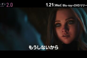 『M3GAN／ミーガン 2.0』ブルーレイ＋DVDセット 1/21(水)発売！