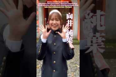 櫻坂46 三期生 路地裏ホテルコレクション♩村山美羽 中嶋優月 小島凪紗 遠藤理子 石森璃花 谷口愛季 村井優 的野美青 小田倉麗奈 山下瞳月 向井純葉