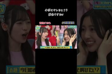 すみれさんに怒られる小西 #日向坂46 #宮地すみれ #小西夏菜実 #かわいい