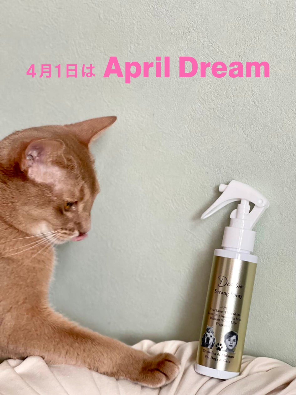 言葉を交わせない家族に、心からの愛を。スキンケアブランドが挑む、『Deaiwo Sarang Spray』世界展開プロジェクト | 株式会社Deaiwoのプレスリリース 言葉を交わせない家族に、心からの愛を。スキンケアブランドが挑む、『Deaiwo Sarang Spray』世界展開プロジェクト | 株式会社Deaiwoのプレスリリース